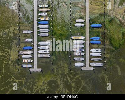 Dürre am Bodensee. Der Yachthafen von Mannenbach-Salenstein im Kanton Thurgau ist fast vollständig ausgetrocknet. Boote liegen trocken am Steg und können nicht Stockfoto