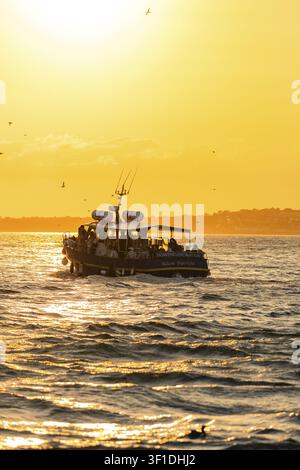 Boot auf dem Meer bei Sonnenuntergang, goldener Himmel spiegelt sich auf der Wasseroberfläche, Howth, Irland Stockfoto