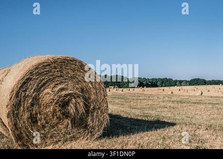 Eine einzelne große runde Strohballen steht im Vordergrund eines weiten, geernteten goldenen Weizenfeldes unter einem blauen Sommerhimmel. Frankreich. Stockfoto