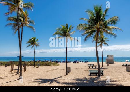Tropischer Palmenstrand mit Palmen, Strandschirmen und tropischem Meer in Miami Beach, Florida Stockfoto
