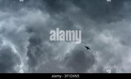 panoramische Ansicht einer Himmelswolkenlandschaft mit dunklen, düsteren Gewitterwolken, mit der Silhouette eines Vogels, der zwischen den Wolken fliegt Stockfoto