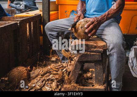 Die Hände eines lokalen Arbeiters, der auf einer Holzbank sitzt und mit einer traditionellen Klinge die äußere Schale und die Fasern einer braunen Kokosnuss abzieht. Stockfoto