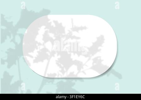 Natürliches Licht wirft Schatten von Feldgras auf ein ovales Blatt weißes Papier, das auf einem horizontalen blauen Hintergrund liegt. Mockup. Stockfoto