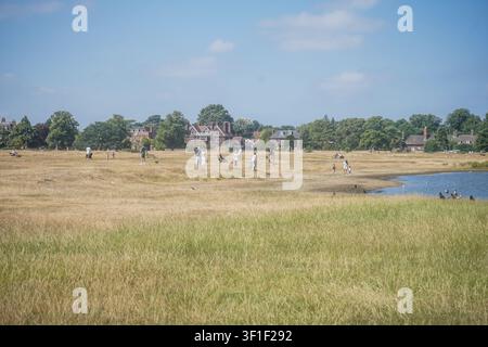 12. Juli 2026 Das trockene, ausgedörrte Gras auf dem Wimbledon Common nach der langanhaltenden Sommerhitzewelle Amer Ghazzal/Alamy Live News Stockfoto