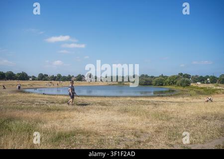 12. Juli 2026 Das trockene, ausgetrocknete Gras auf dem Wimbledon Common nach der langanhaltenden Sommerhitzewelle Amer Ghazzal/Alamy Live News Stockfoto