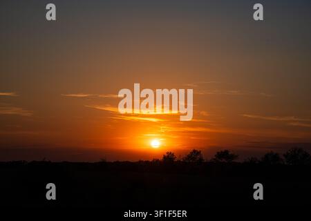Eine malerische Aussicht eines lebendigen goldenen Sonnenuntergangs, der warmes orangefarbenes Licht über die dunkle Silhouette von Bäumen und einem Feld in einer ländlichen Landschaft im Sommer wirft Stockfoto