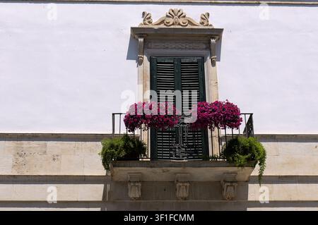Balkon mit dunkelgrünen Fensterläden, blühenden Petunien und dekorativer Kalksteinarchitektur an einem weißen Gebäudeexterior. Italien, Apulien, al Stockfoto