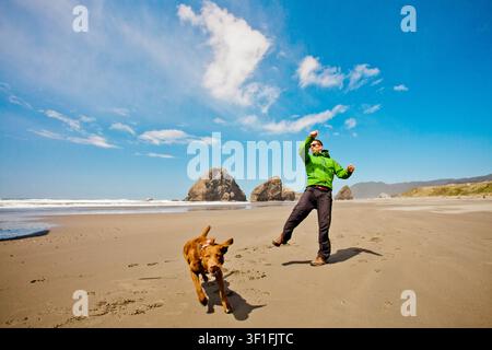 Mann und sein Hund spielen an einem sonnigen Strand in Oregon Stockfoto