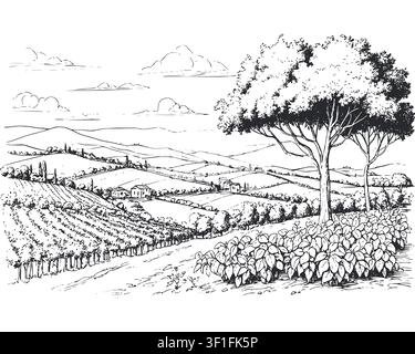Brasilianischer Kaffee, Panorama einer Kaffeepflanzung, Hügel, Häuser am Horizont. Digitale Illustration. Grafische Bleistiftzeichnung, Minimalismus. Kaffeebaum Stock Vektor