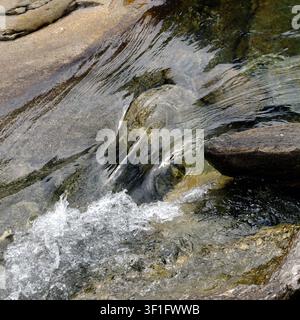 Klarer Gebirgsbach fließt über Felsen. Quadratisches Format. Stockfoto