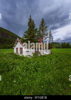 Ein verlassenes altes Haus in der Nähe von Hemsedal in der Provinz Buskerud, Norwegen, das langsam von der Natur zurückerobert wird. Bäume und Vegetation haben Wurzeln geschlagen auf th Stockfoto