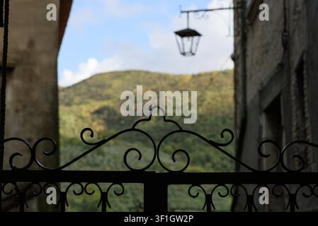 Atmosphärischer Blick durch ein verziertes schwarzes schmiedeeisernes Tor mit dekorativen Locken, der auf eine verschwommene historische Straße mit einer Vintage-Metalllaterne blickt Stockfoto