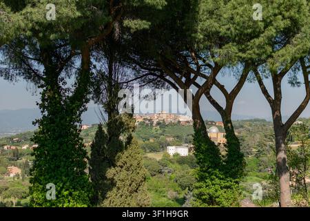 Eine malerische Panorama-Landschaftsansicht einer historischen italienischen Hügelstadt im Gebiet der römischen Burgen, eingerahmt von hohen mediterranen Kiefern und Efeubewuchs Stockfoto