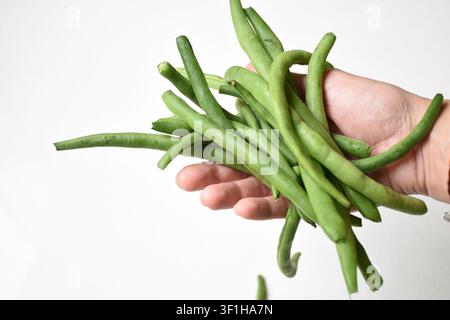 Hand, die frische grüne Bohnen auf weißem Hintergrund hält, Nahaufnahme. Gesunde Bio-Gemüse mit natürlicher Frische, perfekt zum Kochen Stockfoto