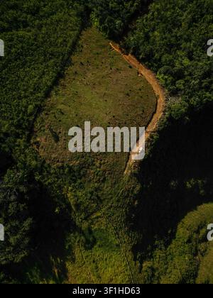 Luftaufnahme einer unbefestigten Straße, die sich durch ein grasbewachsenes Feld schlängelt, das von dichtem Wald in Jaragua do Sul, Santa Catarina, Brasilien, begrenzt wird. Stockfoto