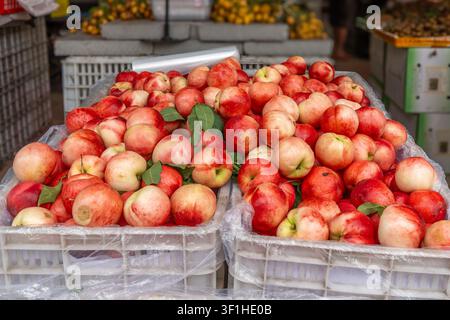 Frische Pfirsiche, die auf einem Marktstand im Sommer gestapelt sind. Stockfoto
