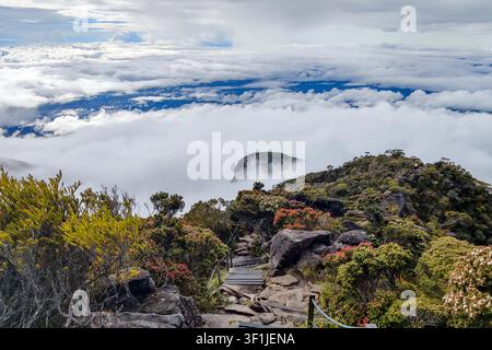 Atemberaubender Blick vom Bergpfad mit Blick auf ein dichtes Meer aus Wolken und üppiger alpiner Vegetation im Vordergrund. Stockfoto