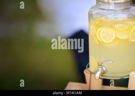 Glaskaraffe mit erfrischender Limonade und frischen Zitronenscheiben, bereit zum Servieren bei einem Sommerfest oder einer Veranstaltung im Freien, mit Einwegbechern vis Stockfoto