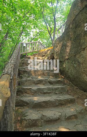 Eine Aufwärtsaufnahme einer robusten Steintreppe, die sich durch einen sonnendurchfluteten, üppigen grünen Wald schlängelt. Die verwitterten Steinstufen sind von einer baumtexturierten Umgebung flankiert Stockfoto