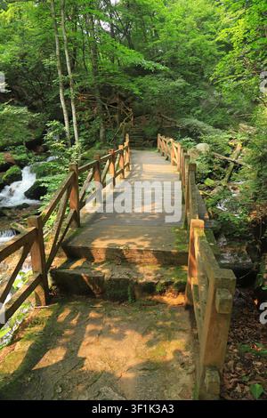 Eine malerische hölzerne Fußgängerbrücke mit rustikalen Geländern überspannt einen sanften Waldbach, wobei links ein kleiner Wasserfall sichtbar ist. Der Weg führt tiefer in einen Stockfoto