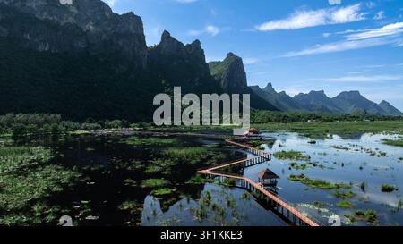 Ein malerischer Holzsteg schlängelt sich durch ein ruhiges, mit Lotusblumen gefülltes Feuchtgebiet, das von hohen Kalkstein-Karstbergen in Thailand umgeben ist. Stockfoto