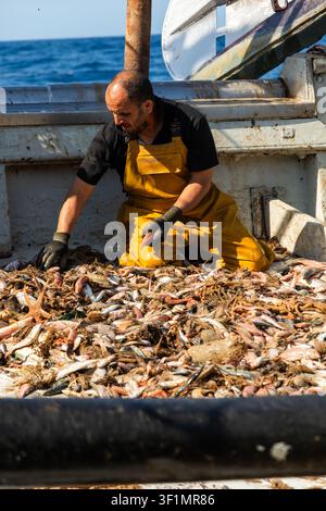 Kommerzieller Fischer in gelben wasserdichten Latzhosen sortiert gemischte Fische und Beifänge auf einem Arbeitsbootdeck auf See, betont die Ernte von Meeresfrüchten, Labo Stockfoto