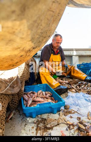 Kommerzieller Fischer in gelben wasserdichten Overalls sortiert frischen Fisch und Garnelen auf einem Arbeitsdeck eines Bootes, umgeben von Netzen und Kisten, während einer Küsten Stockfoto