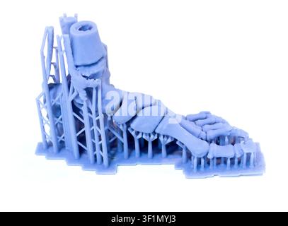 3D-gedrucktes Modell der anatomischen Struktur des Fußes, erstellt mit Photopolymerharz auf einem 3D-Drucker. Skelett des menschlichen Fußes, auf 3D-Drucker aus flüssigem Harz gedruckt, isoliert auf weißem Hintergrund Stockfoto