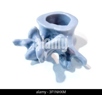 Anatomische menschliche Wirbel, gedruckt auf 3D-Drucker aus flüssigem Harz, isoliert auf weißem Hintergrund. Objekt hergestellt mit Photopolymerharz. SLA-Technologie Stereolithographie. Additive moderne Fertigung Stockfoto