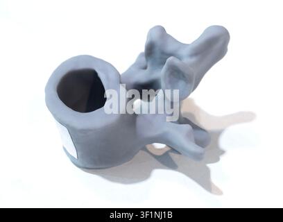 Anatomische menschliche Wirbel, gedruckt auf 3D-Drucker aus flüssigem Harz, isoliert auf weißem Hintergrund. Objekt hergestellt mit Photopolymerharz. SLA-Technologie Stereolithographie. Additive moderne Fertigung Stockfoto