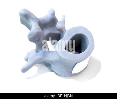 Anatomische menschliche Wirbel, gedruckt auf 3D-Drucker aus flüssigem Harz, isoliert auf weißem Hintergrund. Objekt hergestellt mit Photopolymerharz. SLA-Technologie Stereolithographie. Additive moderne Fertigung Stockfoto