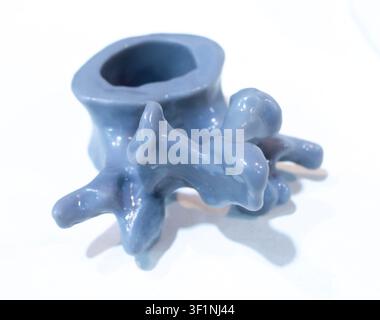 Anatomische menschliche Wirbel, gedruckt auf 3D-Drucker aus flüssigem Harz, isoliert auf weißem Hintergrund. Objekt hergestellt mit Photopolymerharz. SLA-Technologie Stereolithographie. Additive moderne Fertigung Stockfoto