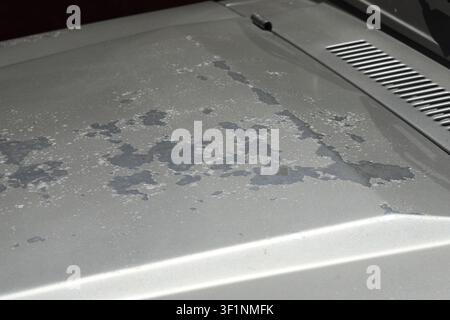 Eine alte silberne Motorhaube eines veralteten Autos, stark korrodiert und mit bis zum Grundmetall abgenutzter Farbe Stockfoto