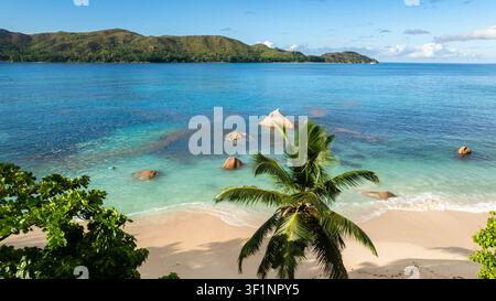 Eine Palme wirft einen Schatten auf den makellosen weißen Sand, mit klarem türkisblauem Wasser und verstreuten Felsen entlang des Ufers. Stockfoto