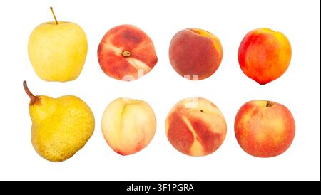 Mischung aus Früchten Pfad isoliert auf weiß Stockfoto