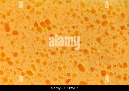Eine farbenfrohe Schwammoberfläche zeigt ein kunstvolles Muster aus gelben und orangefarbenen Blasen. Die einzigartige Textur vermittelt ein Gefühl von Wärme und Verspieltheit, cap Stockfoto
