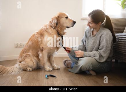 Das Mädchen sitzt auf dem Boden und putzt ihren goldenen Retriever in einem hellen Wohnzimmer Stockfoto
