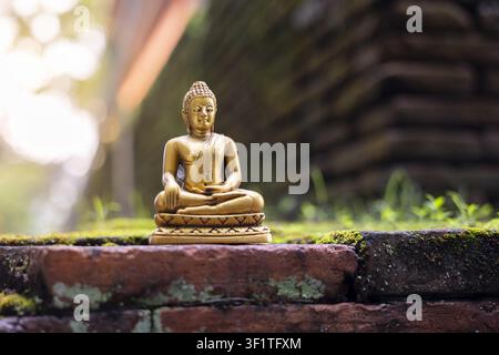 Eine goldene Buddha-Statue meditiert auf einer moosbewachsenen alten Ziegelkante in einem ruhigen Tempelgarten im sanften Sonnenauflicht, friedliche spirituelle Atmosphäre und warmes g Stockfoto