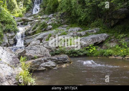 Ein kleiner Wasserfall stürzt über einen moosigen Felsvorsprung in ein flaches Waldbecken, üppiges grünes Laub und ein schroffer Steilhang schaffen eine friedliche Naturszene Stockfoto