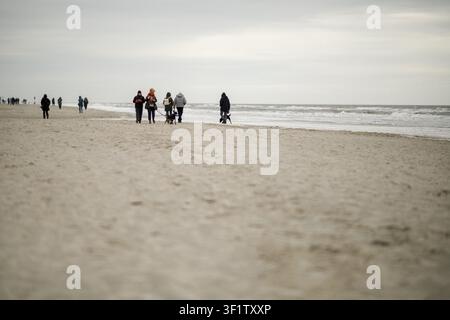 Menschen, die im Frühling an einem Nordseeufer Hunde ausführen, Deutschland Stockfoto