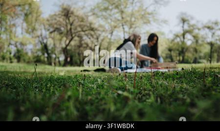 Zwei Freunde haben ein entspanntes Picknick auf einer Decke in einem sonnigen Park, umgeben von grünem Gras Stockfoto