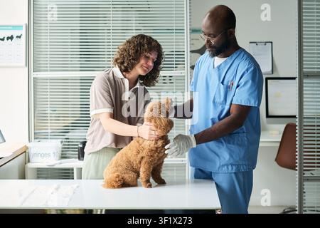 Schwarzer männlicher Tierarzt untersucht einen Hund mit einer Frau in der Klinik Stockfoto