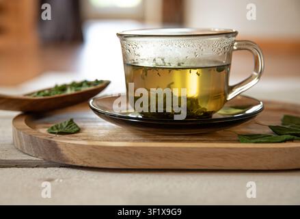 Trockneter Birkenblatt-Pulver-Tee in einer Glas Tasse, mit Betula-Blatt-Pulver auf einem Holzlöffel. Das Glas steht auf einem Küchentisch zu Hause, von hinten beleuchtet. Stockfoto