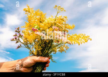 Eine Hand, die einen bunten Strauß Wildblumen hält, ist eine natürliche und fröhliche Geste vor einem hellen Sommerhimmel mit Wolken Stockfoto