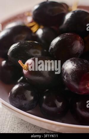 dunkle violette Trauben in einer weißen Schale in Nahaufnahme, frische reife süße Früchte mit glänzender Schale im weichen Fokus, gesunde Ernährung und biologischer Landbau Stockfoto