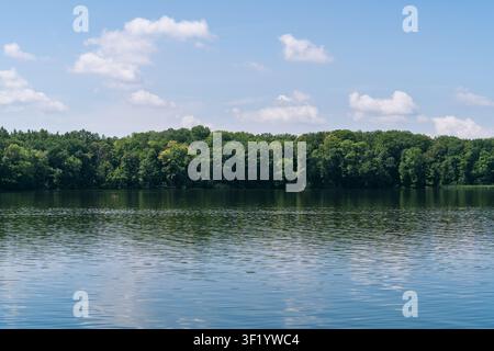 Ruhiger See mit Wald und blauem Himmel im Sommer Stockfoto