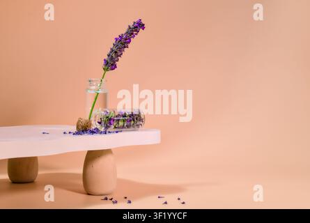 Ein frischer Lavendelstiel wird in einer kleinen Glasflasche präsentiert, neben einer horizontalen Flasche, die mit Lavendelstielen gefüllt ist Stockfoto