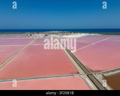 Luftaufnahme der rosa Salzflächen des Regionalparks San Pedro del Pinatar mit lebhaften Verdampferbecken vor dem blauen Meereshorizont Stockfoto