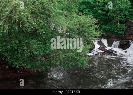 Stürzender Wasserfall stürzt über moosige Felsen in einen dunklen Fluss, eingerahmt von dichten überhängenden grünen Bäumen in einer üppigen, abgeschiedenen Waldlandschaft Stockfoto