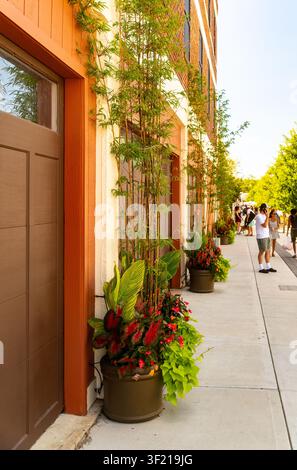 Hoher Bambus und lebhafte Topfpflanzen schmücken ein farbenfrohes Schaufenster entlang eines sonnigen städtischen Gehwegs, an dem Fußgänger vorbeischlendern. Stockfoto